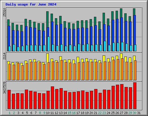 Daily usage for June 2024