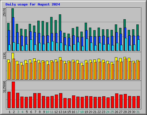 Daily usage for August 2024