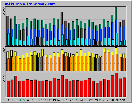 Daily usage for January 2025